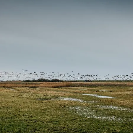 Seaside 43 Sankt Peter-Ording