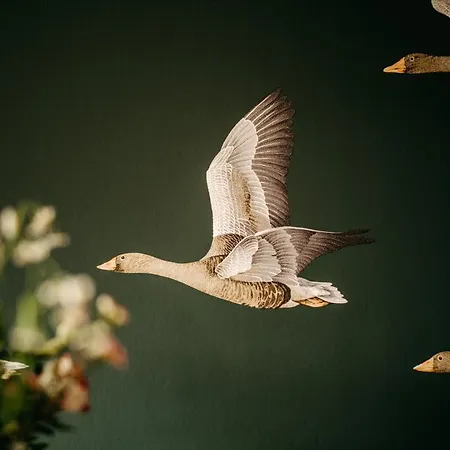 Hotel Seaside 43 Sankt Peter-Ording