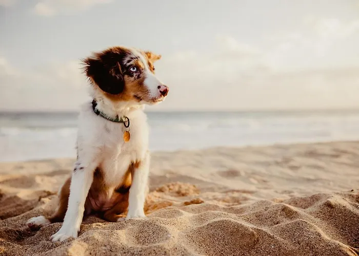 Seaside 43 5* Sankt Peter-Ording