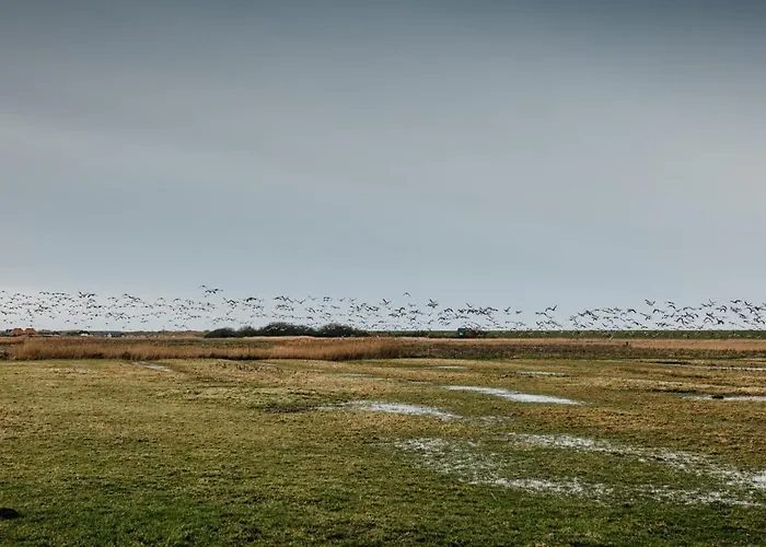 Seaside 43 Sankt Peter-Ording