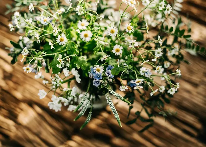 Seaside 43 5* Sankt Peter-Ording