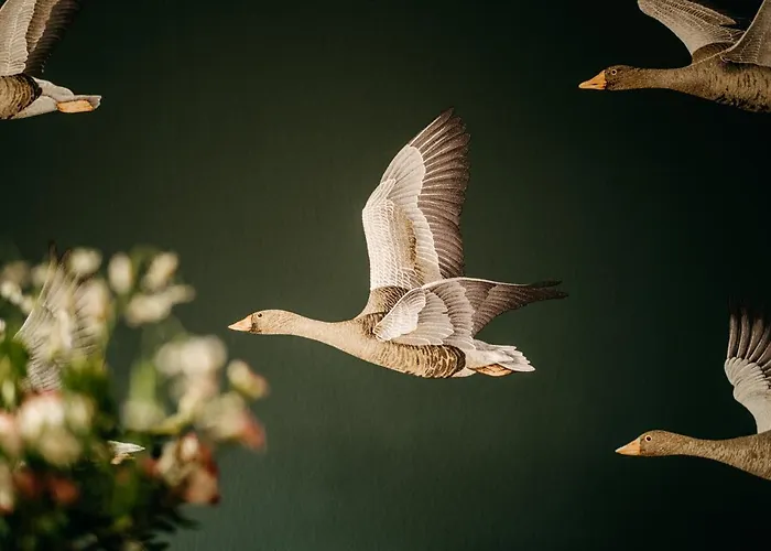 Hotel Seaside 43 Sankt Peter-Ording